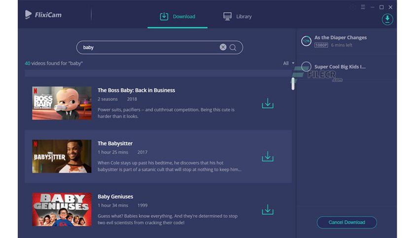 Flexicam Netflix Video Downloader Free Download For Windows