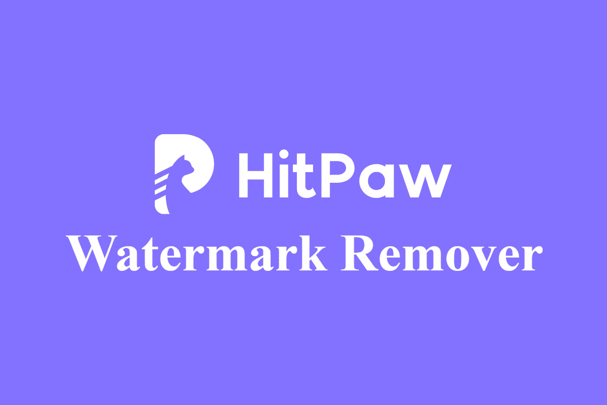 Hitpaw watermark remover software