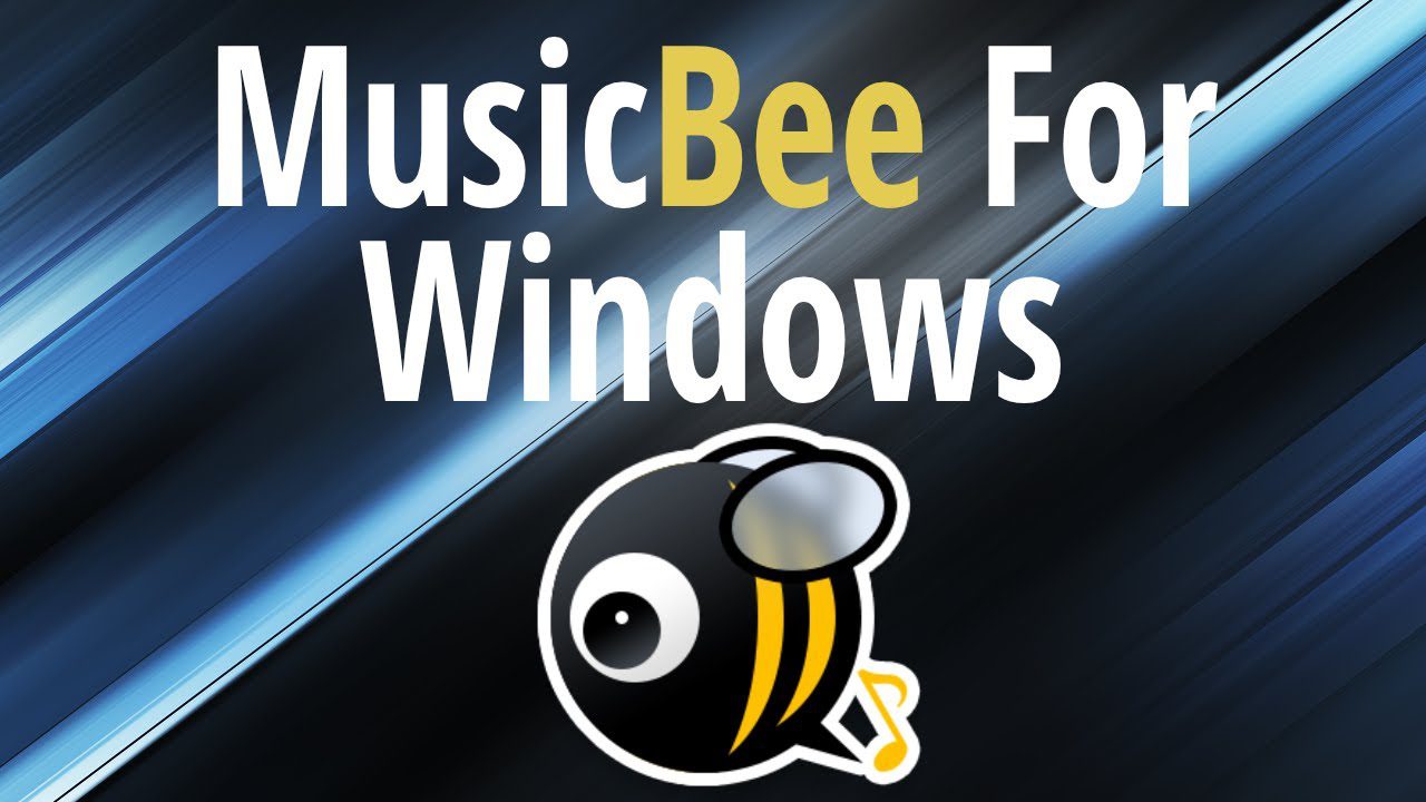 Download Musicbee For Windows Free Download Full Version