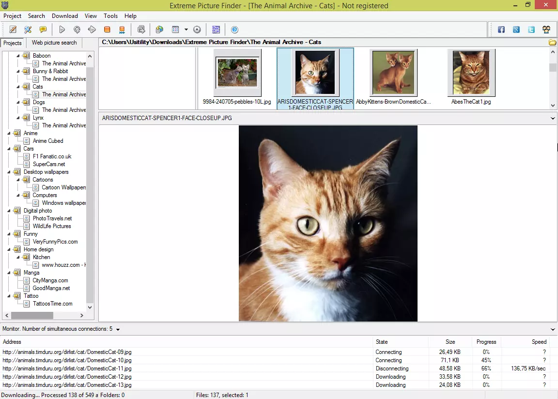 Extreme Picture Finder Full Version For Pc