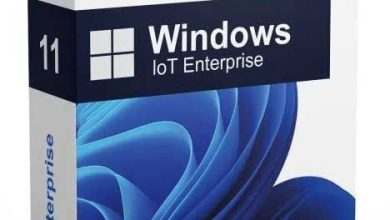 Image of a software box for Windows 11 IoT Enterprise by Microsoft. The box, primarily white with dark blue accents, features a blue abstract design on the lower half. The number "11" is displayed on the side, clearly indicating the software version.