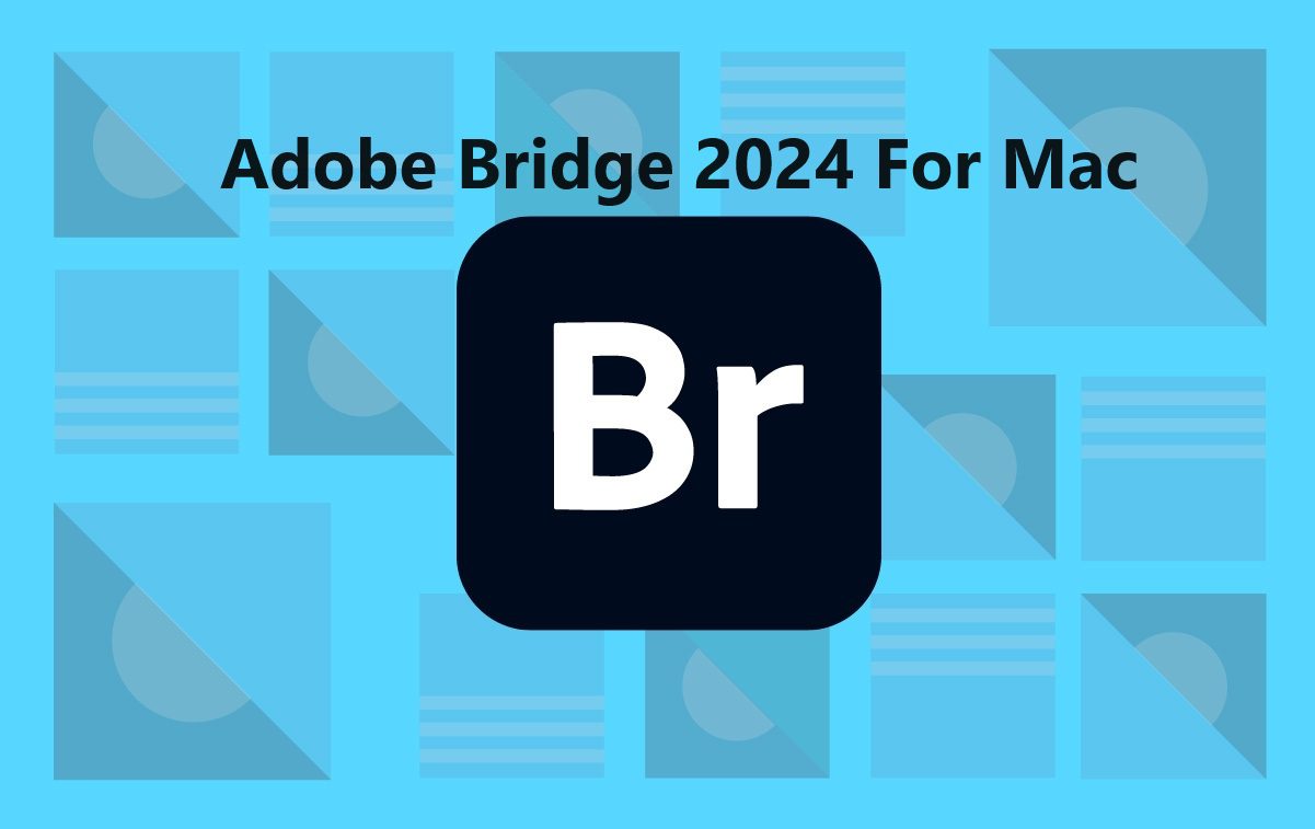 Download Adobe Bridge 2024 Full Version For Mac