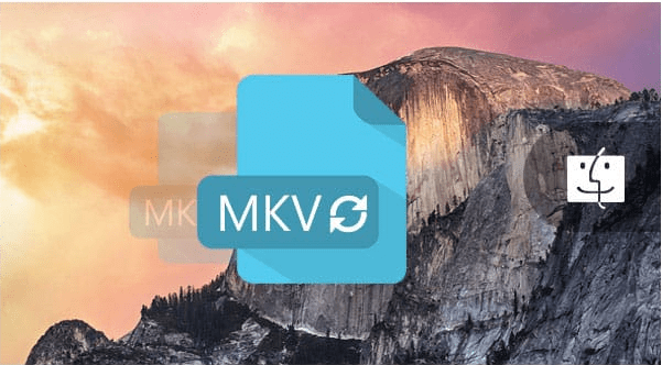 Aiseesoft Mkv Converter For Mac