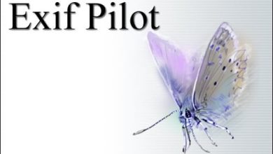 1. Logo For Exit Pilot, Featuring The Exif Pilot 2024 Branding, Showcasing A Modern And Professional Design.